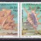 DB1 Fauna Marina Somalia 1994 Scoici 4 v. MNH
