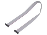 Cablu panglică SAMTEC IDC 355,6mm FFSD-10-D-14.00-01-N cu conectori IDC ambele părți
