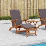 vidaXL Șezlong pliabil și culisant 55 x 146 x 91 cm 42025002