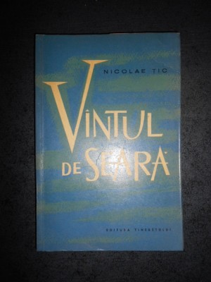 NICOLAE TIC - VANTUL DE SEARA foto