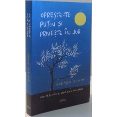 OPRESTE-TE PUTIN SI PRIVESTE IN JUR de HAEMIN SUNIM , 2017 *PREZINTA DEFECTE LA COPERTA SPATE