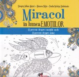 Dragos Julian Matei, Bianca Nita, Paula-Steluta Dobrinoiu - Miracol in lumea