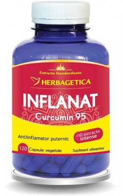 INFLANAT CURCUMIN 95 120CPS foto