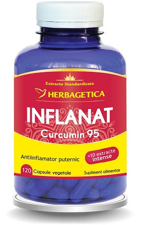 INFLANAT CURCUMIN 95 120CPS