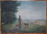 Cioban cu oile// ulei pe panza, semnat Radulescu 1910