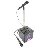 Set karaoke boxa cu stativ si microfom
