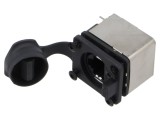 Conector RJ45 Cat 5e Ecranat 8p8c THT AMPHENOL RJXS8FP25HPE cu Capac