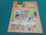 VAILLANT LE JOURNAL DE PIF * NR. 1076* 1965 * 4 2 5