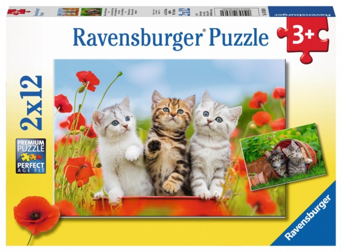 Puzzle Aventura Pisicutelor, 2X12 Piese Puzzle Aventura Pisicutelor, 2X12 Piese