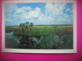 HOPCT 8247 FLORIDA -SUA-AMERICA DE NORD -NECIRCULATA-