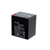 Baterie auto electrică 4.5 Ah
