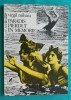 Virgil Mihaiu &ndash; Paradis pierdut in memorie ( prima editie )
