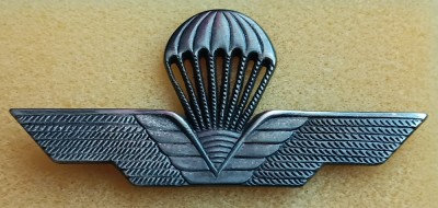 QW9 N2 45 - insigna - militar - parasutism - forte speciale foto