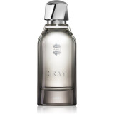 Ajmal Gray Eau de Parfum pentru bărbați 100 ml