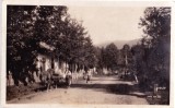 AMS# - ILUSTRATA/VEDERE KVASY UCRAINA, NECIRCULATA