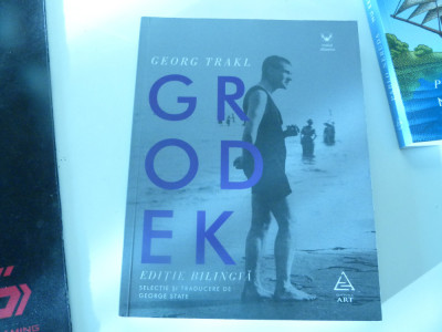 Grodek - Georg Trakl - bilingv foto