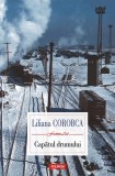 Capatul drumului - Editura Polirom