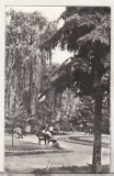 bnk cp Bacau - Vedere din parc - circulata