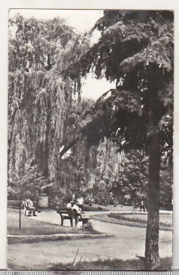 bnk cp Bacau - Vedere din parc - circulata foto