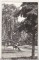 Foto  - 1