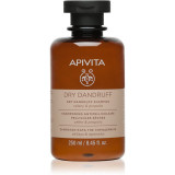 Apivita Dandruff Dry Dandruff Shampoo sampon anti-matreata 250 ml