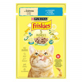 Cumpara ieftin Friskies Adult Cat, Salmon, 85 g