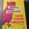 Matura sistemului David Foster Wallace