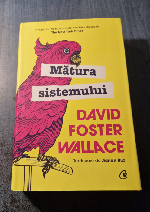 Matura sistemului David Foster Wallace