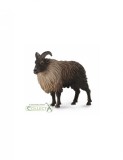 Figurina capra salbatica Tahr Himalaian L Collecta