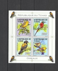 CHAD 2012 FAUNA PASARI foto
