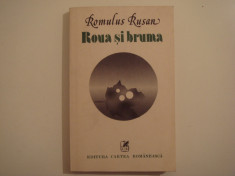 Roua si bruma - Romulus Rusan Editura Cartea Romaneasca 1982 foto