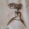 MEDALION argint EGRETA splendid SUPERB vintage DE EFECT minunat pe Lant argint