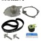 SKF VKMC 06134-1 Set pompa apa + curea dintata