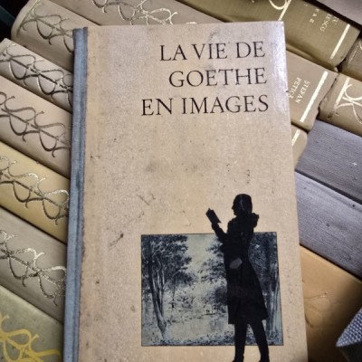 La vie de Goethe en images foto