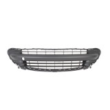 Grila ventilatie, bara protectie PEUGEOT 207 SW (WK) (2007 - 2016) BLIC 6502-07-5508998P
