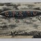 ZEPPELIN CU INSCRIPTIA &#039; ESPERANTO &#039; , CARTE POSTALA ILUSTRATA , INCEPUTUL SEC. XX