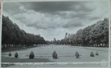 Carte postala, Bucuresti, priveliste din Gradina Botanica, perioada interbelica