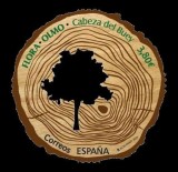 SPANIA 2020 FLORA ARBORI ULMI TIMBRU DIN LEMN DE ULM, Nestampilat