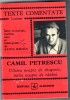 Ultima noapte de dragoste, intaia noapte de razboi, Camil Petrescu