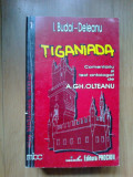 E3 TIGANIADA - I. BUDAI-DELEANU