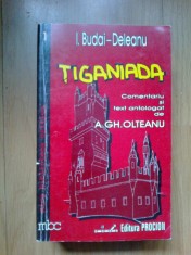 e3 TIGANIADA - I. BUDAI-DELEANU