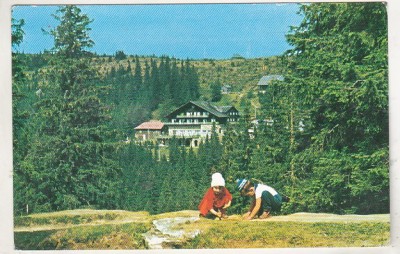 bnk cp Paltinis - Complexul turistic - circulata foto