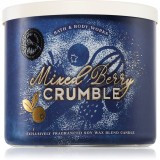Bath &amp; Body Works Mixed Berry Crumble lum&acirc;nare parfumată 411 g