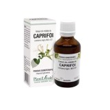 Extract din mladite de caprifoi, 50ml, PlantExtrakt