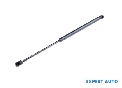 Amortizor capota spate Ford Focus (1998-2004) [DAW, DBW] #1 foto