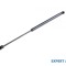Telescop capota spate Ford Focus (1998-2004) [DAW, DBW] #1