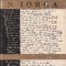 N. Iorga - Pagini de tinerețe ( vol. 2 )