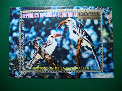 GUINEEA ECUATORIALA BLOC PASARI foto