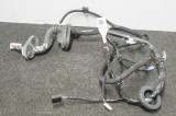 Cablaj ușă dreapta spate TESLA MODEL 3 2018 OEM: 2067966-00-A 11203699