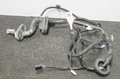 Cablaj ușă dreapta spate TESLA MODEL 3 2018 OEM: 2067966-00-A 11203699 foto
